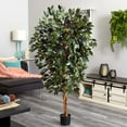 thumbnail image 2 of Nearly Natural 6'Capensia Ficus Tree x 3 with 1008 Lvs, 2 of 3