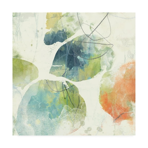 Trademark Fine Art 'Color Motion Ii' Canvas Art by June Erica Vess