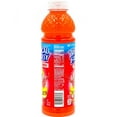 Tropical Fantasy Premium Juice Cocktail, Fruit Punch, 22.5 Fl Oz