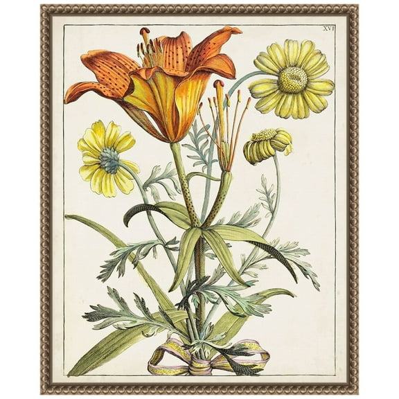 Amanti Art Dutch Florals V Framed Canvas Wall Art Print