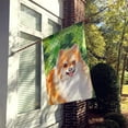 thumbnail image 2 of Carolines Treasures BB9890CHF Pomeranian 2 St Patricks Flag Canvas House Size  Large multicolor, 2 of 4