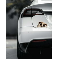 Cute Owl Face Car Sticker, Peeking Owl Vinyl Decal in Anime Style, for Bumper, SUV, or Rear Window