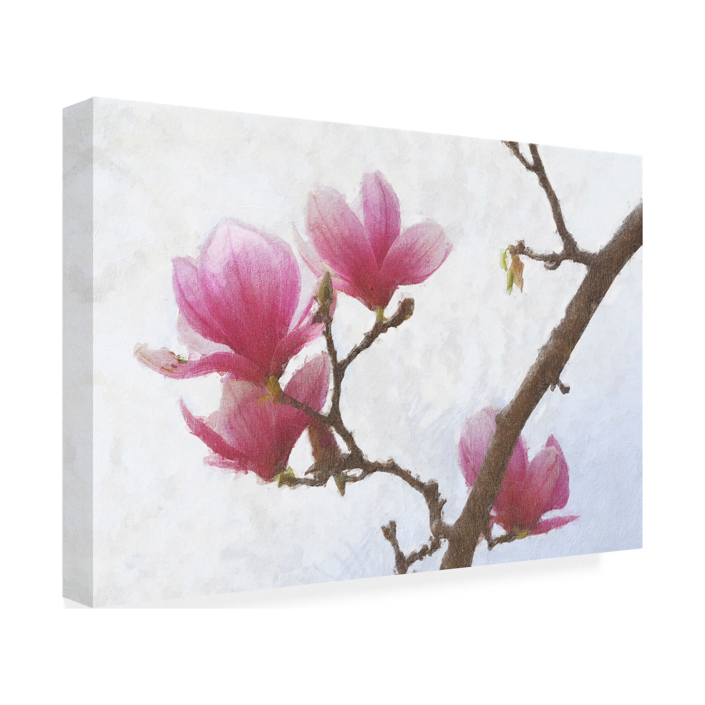 Chris Vest 'Painted Magnolias I' Canvas Art