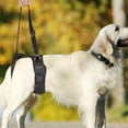 thumbnail image 6 of Rehabilitation Dog Lift Harness Dogs Slings for Dog Front Rear Legs Supporting for Elderly Injured Disabled Dogs, 6 of 8