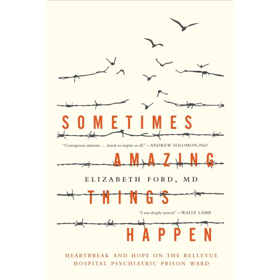 Sometimes Amazing Things Happen : Heartbreak and Hope on the Bellevue Hospital Psychiatric Prison Ward (Hardcover)