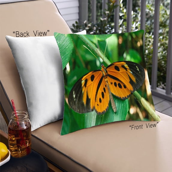 Ahgly Company Insects Butterfly Outdoor Throw Pillow, 18 inch by 18 inch