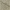 Taupe Brown, variant on Subrtex Bathroom Rugs Non-Slip Chenille Soft Striped Plush Bath Mat (Chocolate, 16"x24")