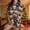 Black, variant on Women Christmas Printed Stand Up Collar Pocket Short Sleeved Top Shorts Home Wear Pajama Set
