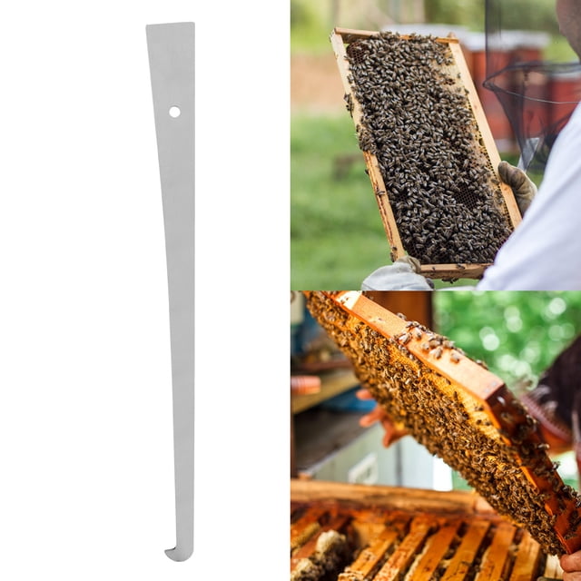 Grattoir d'Apiculture en Acier Inoxydable, 1 Pce Grattoir de Ruche en Acier Inoxydable Grattoir d'Apiculture pour en Faire Plus