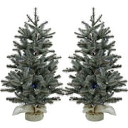 Fraser Hill Farm 3-Ft. Prelit Heritage Pine Accent Tree in Burlap Bag, Multi-Color LED Lights, Set of 2, FFHP042-6GRB/SET2