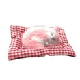 thumbnail image 2 of Sleeping Cat in Shoe Plush Toy, Miniature Kitten Stuffed Animal with Outfit, Realistic Meowing Plushie, Funny Pet Pal for Desk Decor, Valentine's Day Gift for Cat Lovers Easter Gift, Graduation Gift, 2 of 7