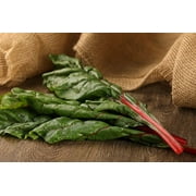 Proven Winners 4-Pack, 4.25 in. Eco+Grande, Bright Lights (Swiss Chard) Live Vegetable Plant