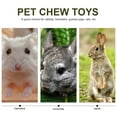 thumbnail image 7 of Natural Handmade Chew Toys for Teeth Grinding, Small Pets Treats for Guinea Pigs, Hamsters, Chinchillas, and Other Small Animals, 7 of 7