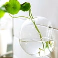thumbnail image 3 of Jardinera Hidropónica Jarrón De De 2 Piezas Maceta Terrario Bola 10 Cm Y 15 Cm Sunnimix Jardinera colgante de pared, 3 of 8
