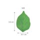 thumbnail image 4 of RO 50 hojas de notas adhesivas, hermosas notas autoadhesivas en forma de hoja verde, juego de notas adhesivas para decoración de bricolaje, escuela y uso doméstico, 4 of 4
