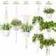 thumbnail image 2 of Paquete de 5 macetas colgantes de macramé NQ para plantas de interior 5 ganchos Estante decorativo, 2 of 5