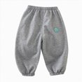 thumbnail image 3 of Boys Sweatpants Kids Baggy Pants for Boys 6M-4T Baby to Toddler Essentials Sweatpants Kids Grey Sweatpants Size 12-18 Months, 3 of 9
