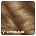thumbnail image 2 of Clairol Nice'n Easy10 Permanent Hair Color Cream, 7 Dark Blonde, Hair Dye, 1 Application, 2 of 7