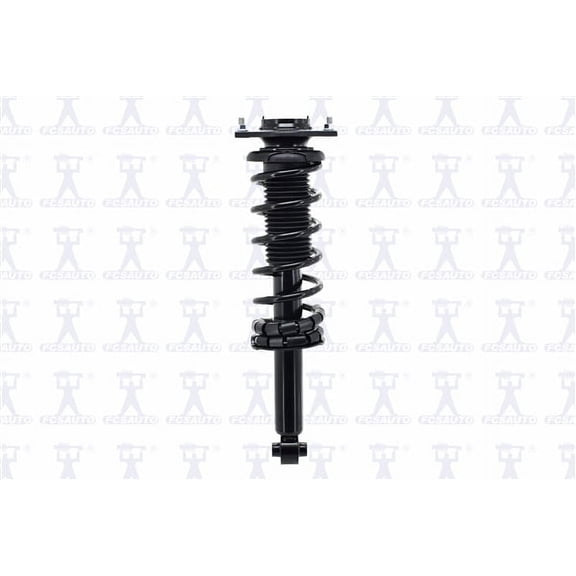 Suspension Strut and Coil Spring Assembly