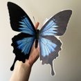 thumbnail image 1 of 2X Fridge Blue Black Butterfly Deco Motorcycle Car Sticker, 1 of 5
