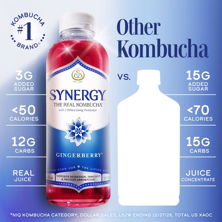 GT.S Synergy Real Kombucha, Gingerberry, 16 fl oz, Fermented