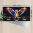 thumbnail image 2 of License Plate, Rainbow winged Owl Decorative Front,Personalized Stainless Steel License Plate Cover For Men Women,12.2" X 6.2", 2 of 6