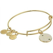 Alex and Ani Color Infusion Bangle Bracelet Gold/Sweet As Honey One Size