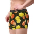 thumbnail image 5 of Cauagu Orange Lemon Print Boxer Briefs for Men,Comfortable Breathable Men's Underwear Moisture Wicking Underpants -Large, 5 of 8
