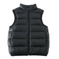 thumbnail image 5 of Baozhu Winter Puffer Vest Hooded Jacket,Child Boy Girl Solid Color Lightweight Down Coat,2-12 Years, 5 of 12