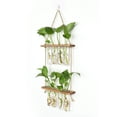 thumbnail image 6 of Hyindoor Propagation Station with 8 Glass Tubes Wall Hanging Planter Terrarium, 6 of 9