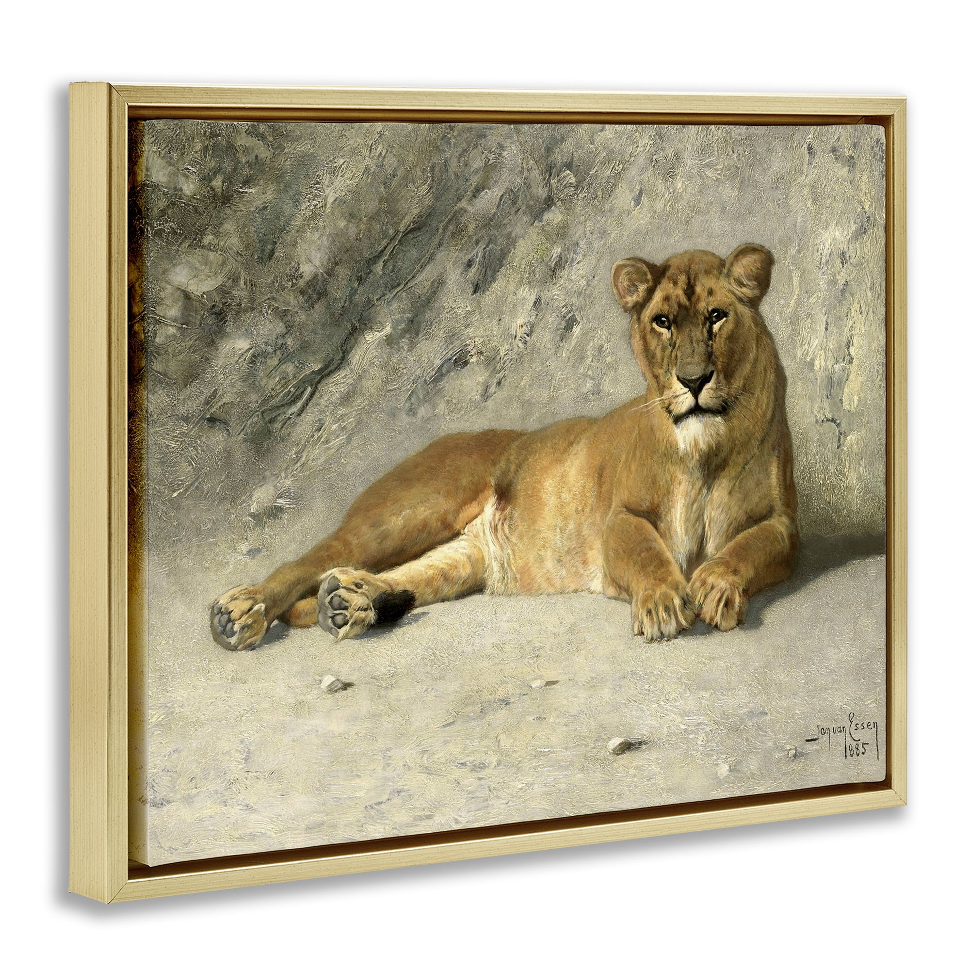 Stupell Industries Protective Wild Lion Animals Photography Gold Floater Framed Canvas Art Print Wall Art, 31 x 25