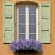thumbnail image 3 of Xiao Hua 12 manojos de flores artificiales de lavanda de plástico sintético morado (morado grisáceo), 3 of 5