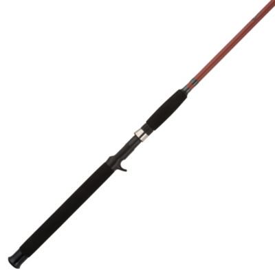 Shakespare® Wild Cat? Casting Rod