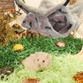 thumbnail image 4 of Hamaca colgante para mascotas, animales pequeños, hurón, litera, jaula, juguete para hámster, 4 of 7