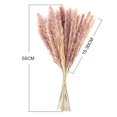thumbnail image 2 of Pampas Hierba Decorativa Flores Secas 55 Cm Flores Secas Ramo Para El Hogar Oficina Decoración De La Boda 15 Unids matsuzay HA035508-00, 2 of 6