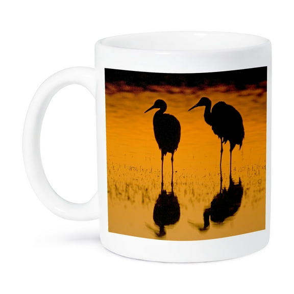 3dRose, Sandhill crane birds, Bosque del Apache, NM - US32 SKA0132 - Steve Kazlowski, 15oz Mug