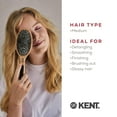 thumbnail image 6 of Kent PF01 Large Cushion Detangler Brush, Boar Bristle and Non-Scratch Nylon Mix Hairbrush for Straightening Smoothing. Oval Wood Paddle Detangling Hair Brush for Medium to Long Hair, Made in England, 6 of 6