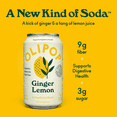 thumbnail image 3 of Olipop Prebiotic Soda Pop, Ginger Lemon, High Fiber, 12 fl oz 12 Pack, 3 of 7