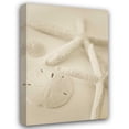 thumbnail image 1 of Karyn Millet 17x24 Gallery Wrapped Canvas Wall Art Titled - Ocean Treasures VI, 1 of 4