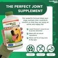 thumbnail image 7 of LIQUIDHEALTH K9 Glucosamine for Dogs Hip & Joint Juice Liquid Vitamin, 32 Fl. Oz, 7 of 7