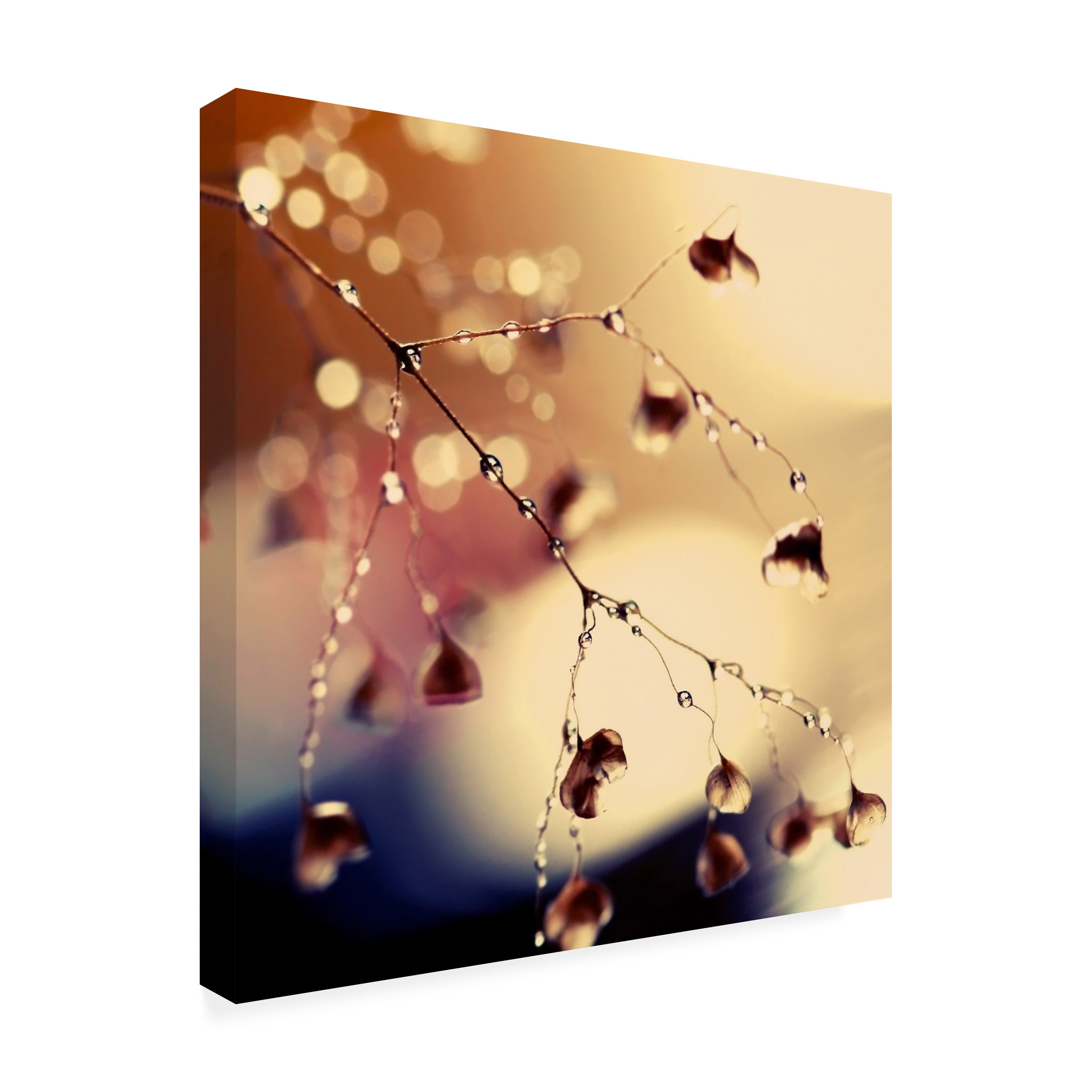 Trademark Fine Art "Summer Concert" Canvas Art by Beata Czyzowska