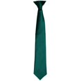 thumbnail image 1 of Premier  Adult Satin Tie, 1 of 2