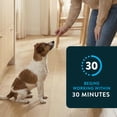 thumbnail image 5 of CAPSTAR (Nitenpyram) Fast-Acting Oral Flea Treatment for Small Dogs (2-25 lbs), 6 Tablets, 11.4 mg, 5 of 11