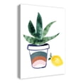 thumbnail image 2 of Creative Products Rainbow Aloe Plant and Lemon 20x30 Canvas Wall Art, 2 of 5
