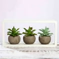 thumbnail image 2 of Efavormart Set of 3 | 5" Assorted Aloe Varietal Artificial Faux Succulents Mini Green Plants in Cement Pot, 2 of 11