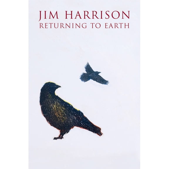Pre-Owned Returning to Earth (Paperback) 0802143318 9780802143310