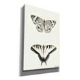 thumbnail image 2 of Epic Graffiti 'Butterflies' by Lori Deiter, Canvas Wall Art, 18"x26", 2 of 2