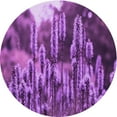 thumbnail image 1 of Ahgly Company Machine Washable Indoor Round Transitional Dark Magenta Purple Area Rugs, 4' Round, 1 of 7
