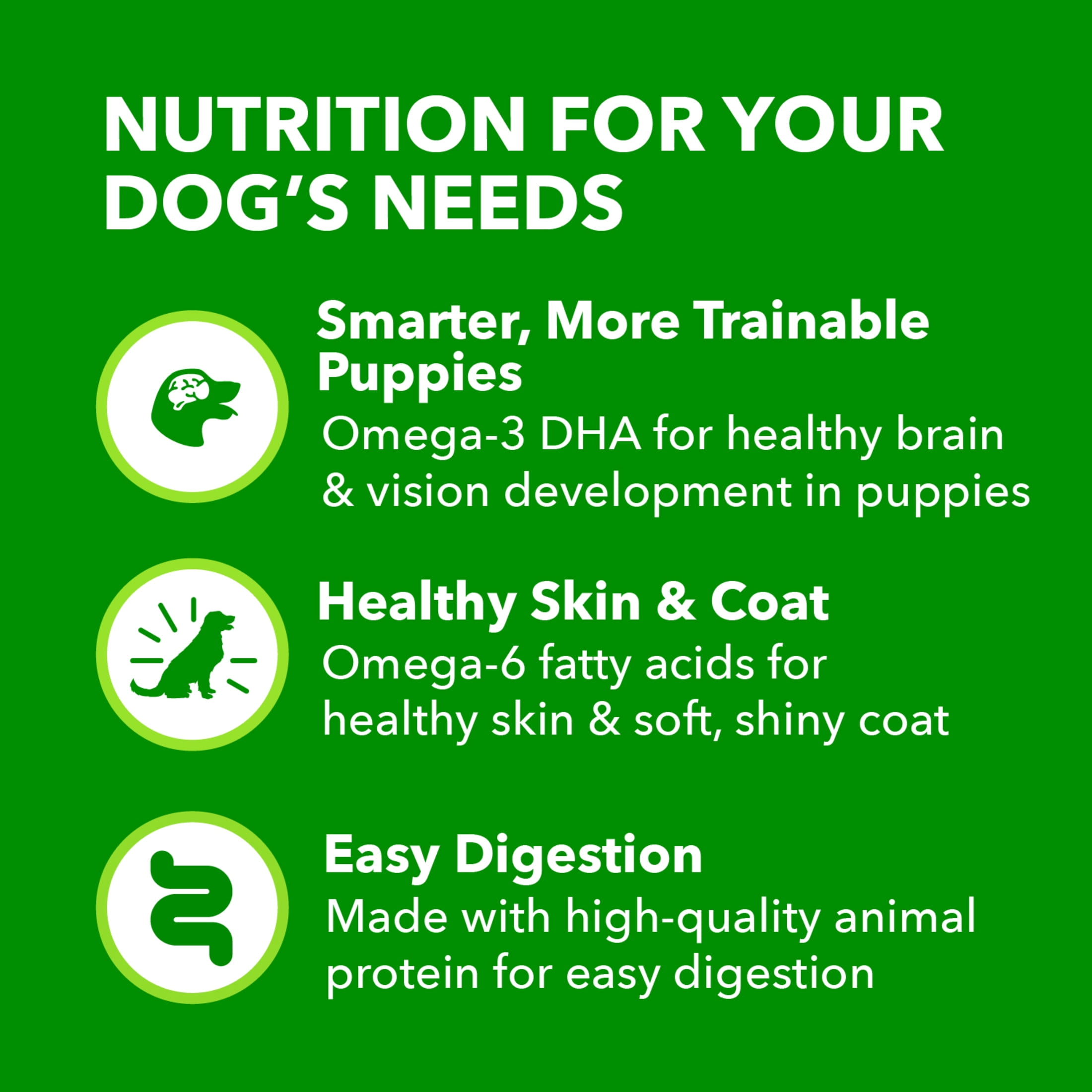 (12 pack) IAMs Proactive Health Puppy Wet Dog Food Classic Ground with Chicken and Rice, 13 oz. Can