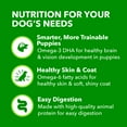 thumbnail image 5 of IAMs Proactive Health Puppy Wet Dog Food Classic Ground with Chicken and Rice, 13 oz. Can, 5 of 8